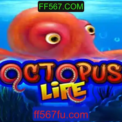 Descubra o Mundo Fascinante de OctopusLife: Um Mergulho no Resumo e Nas Regras do Jogo